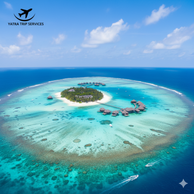 Gemini_Generated_Image_m5hkaum5hkaum5hk